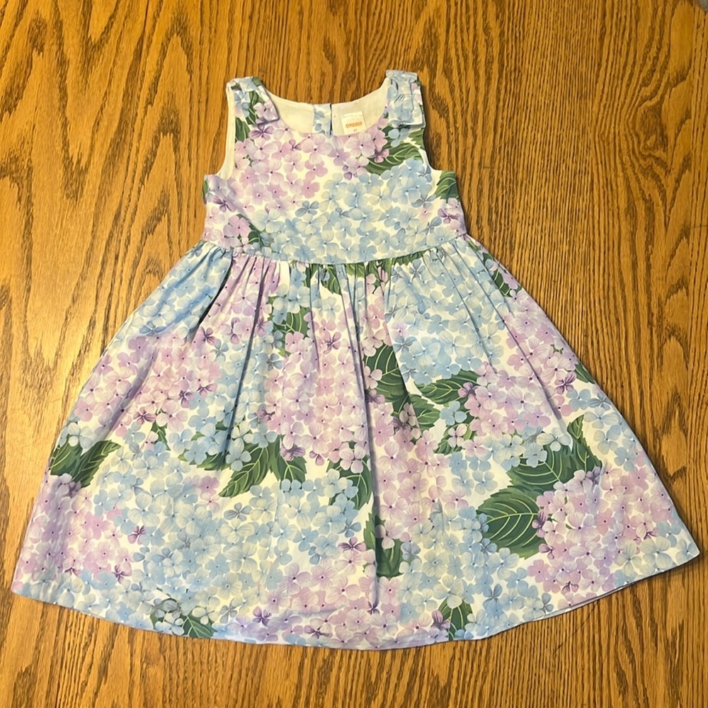 Gymboree Dress